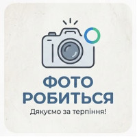 Віброплита бензинова реверсивна GTM GPC125-LCR з баком, килимком та колесами